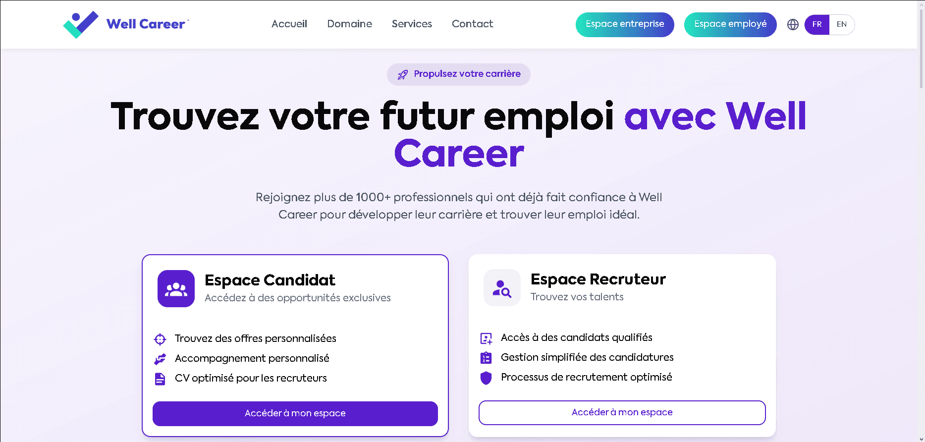 Well Career
